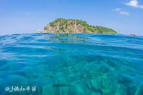 机智问答网页-现在大家比较喜欢喝什么酒？在线解答问题